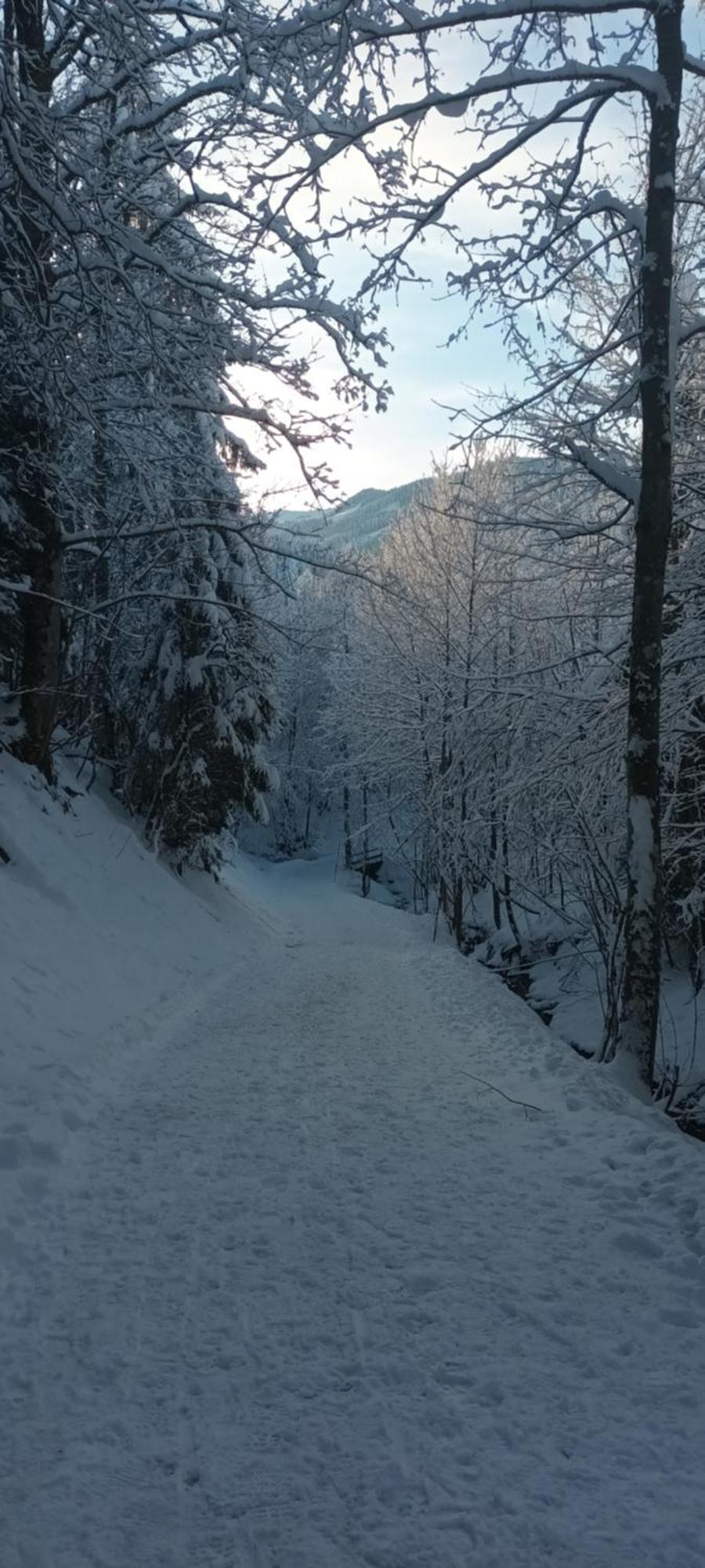 Апартаменты Alpinrefugium Haus Am Anger Юнгхольц Экстерьер фото